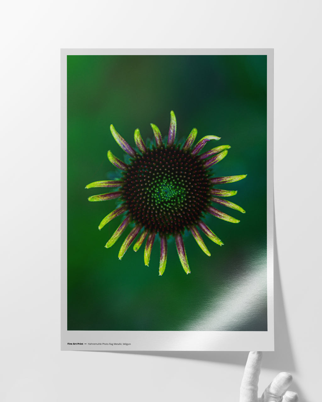 Hahnemühle Photo Rag Metallic 340 gsm