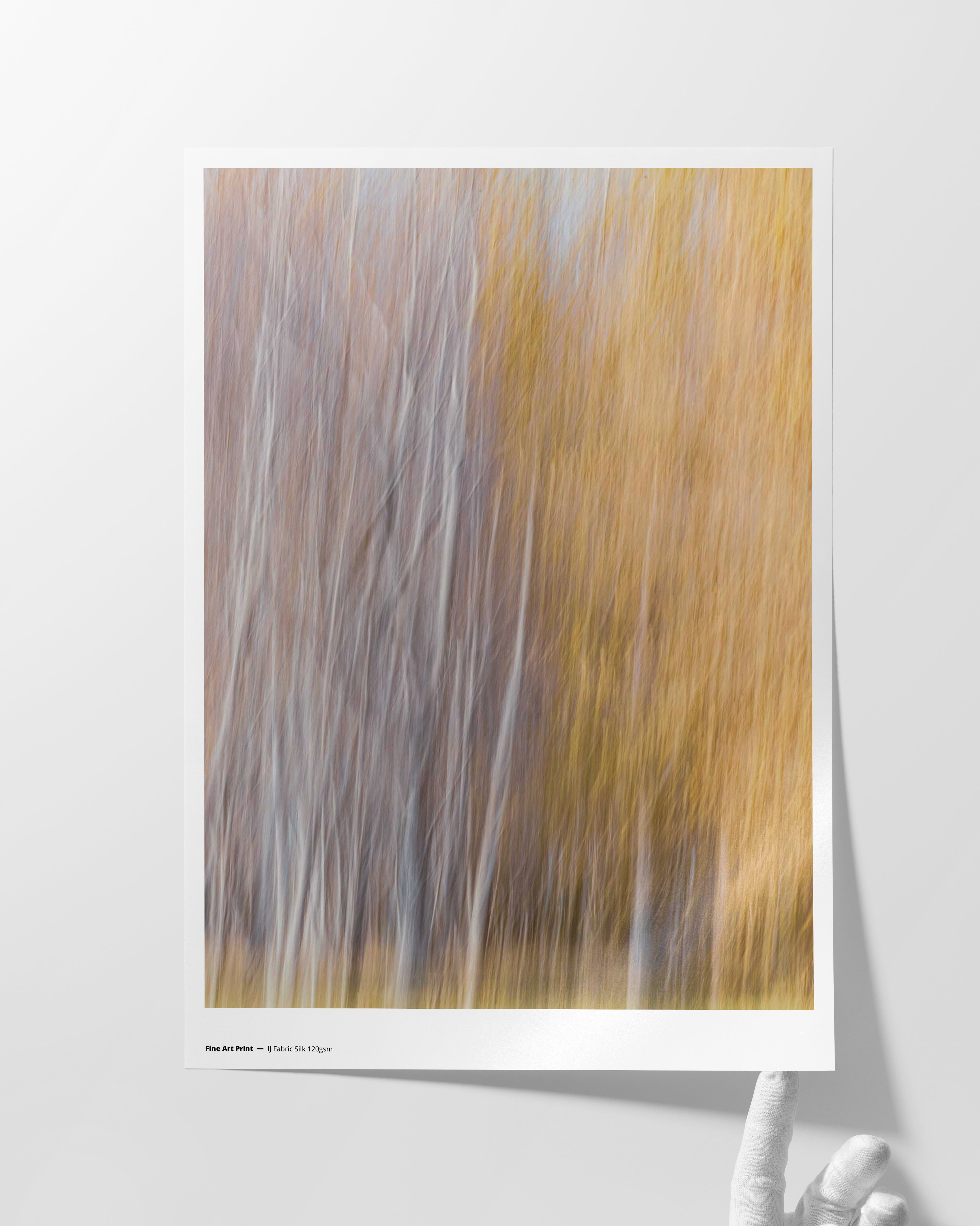 IJ Fabric Silk 120gsm