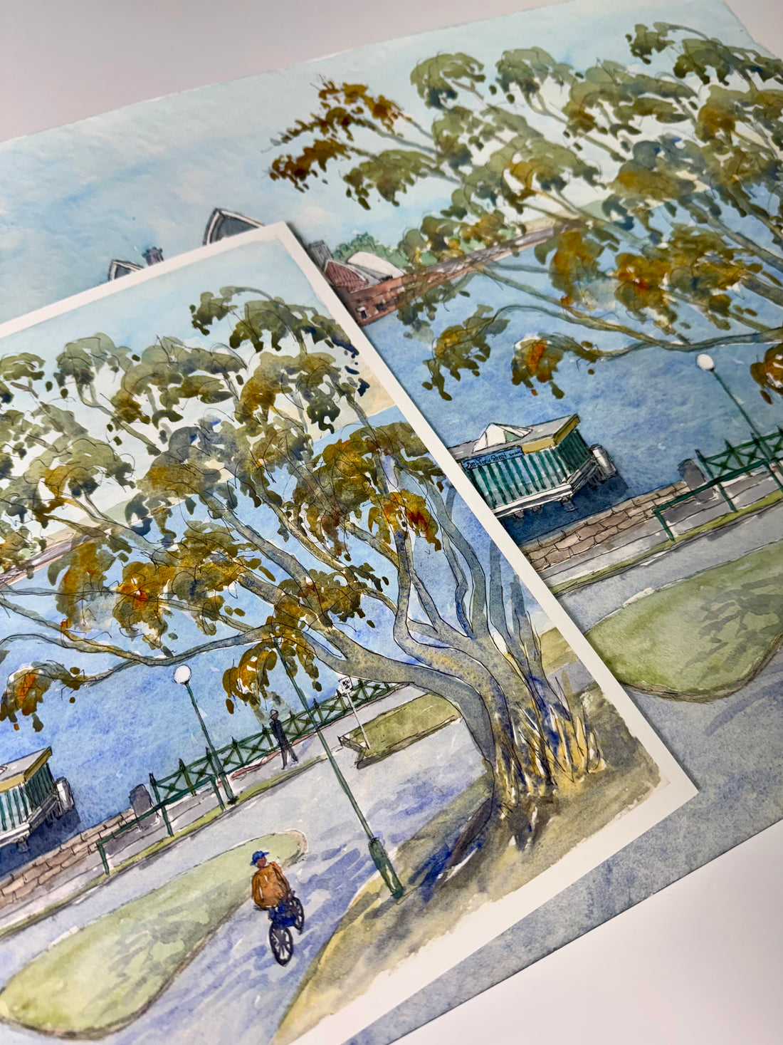 Fine Art Print and Poster Packs