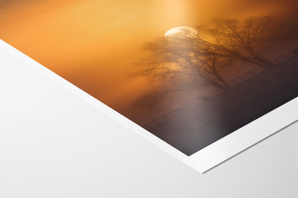 Radiance Photo Paper 260gsm