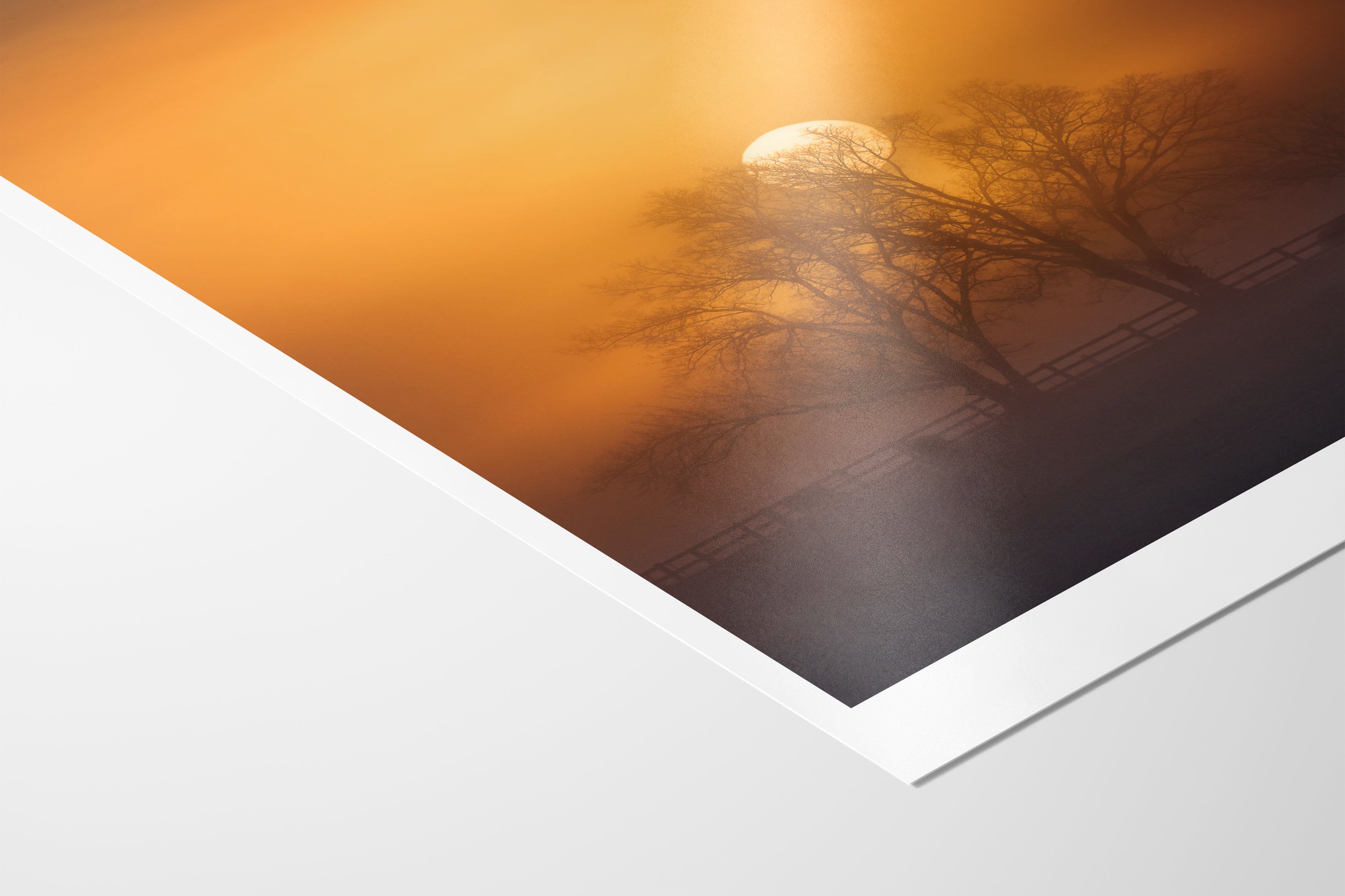 Radiance Photo Paper 260gsm