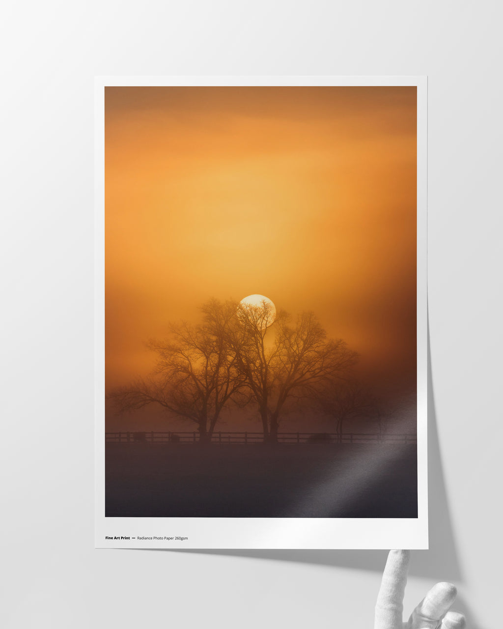 Radiance Photo Paper 260gsm